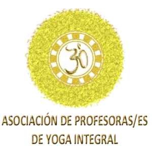 ASOCIACIÓN APYI