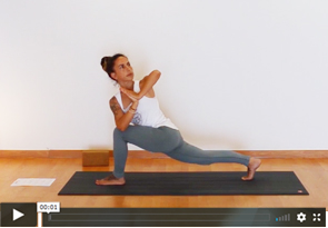 PLATAFORMA ADIOVISUAL APYI