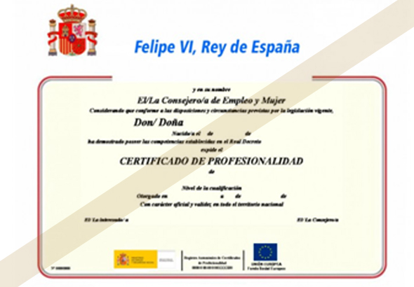 certificado profesionalidad en yoga