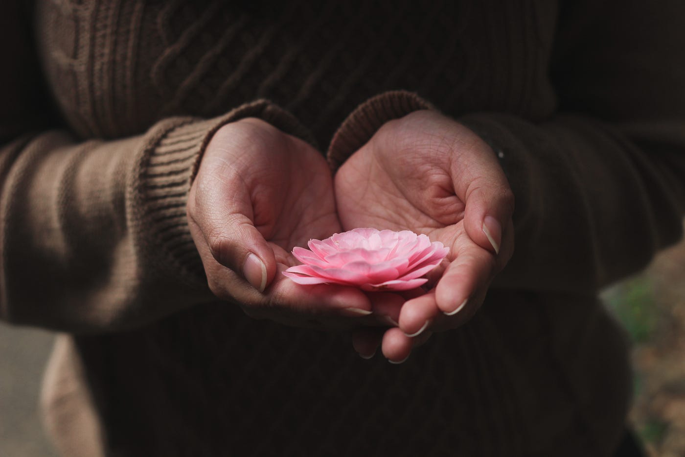 flor de loto